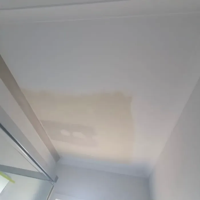 Bathroom ceiling with a large discoloured stain spreading from the shower corner.