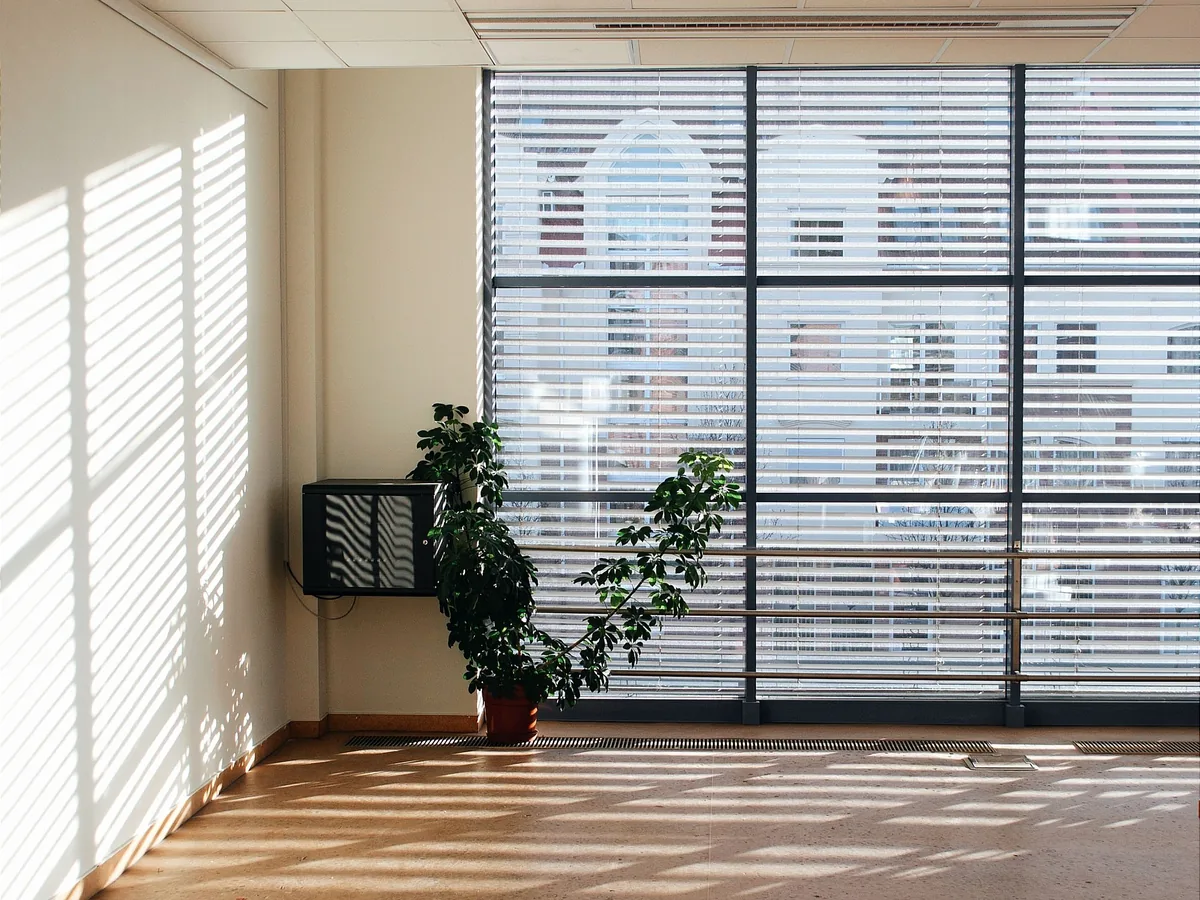 Office interior with pale walls, venetian blinds and daylight across a timber floor.